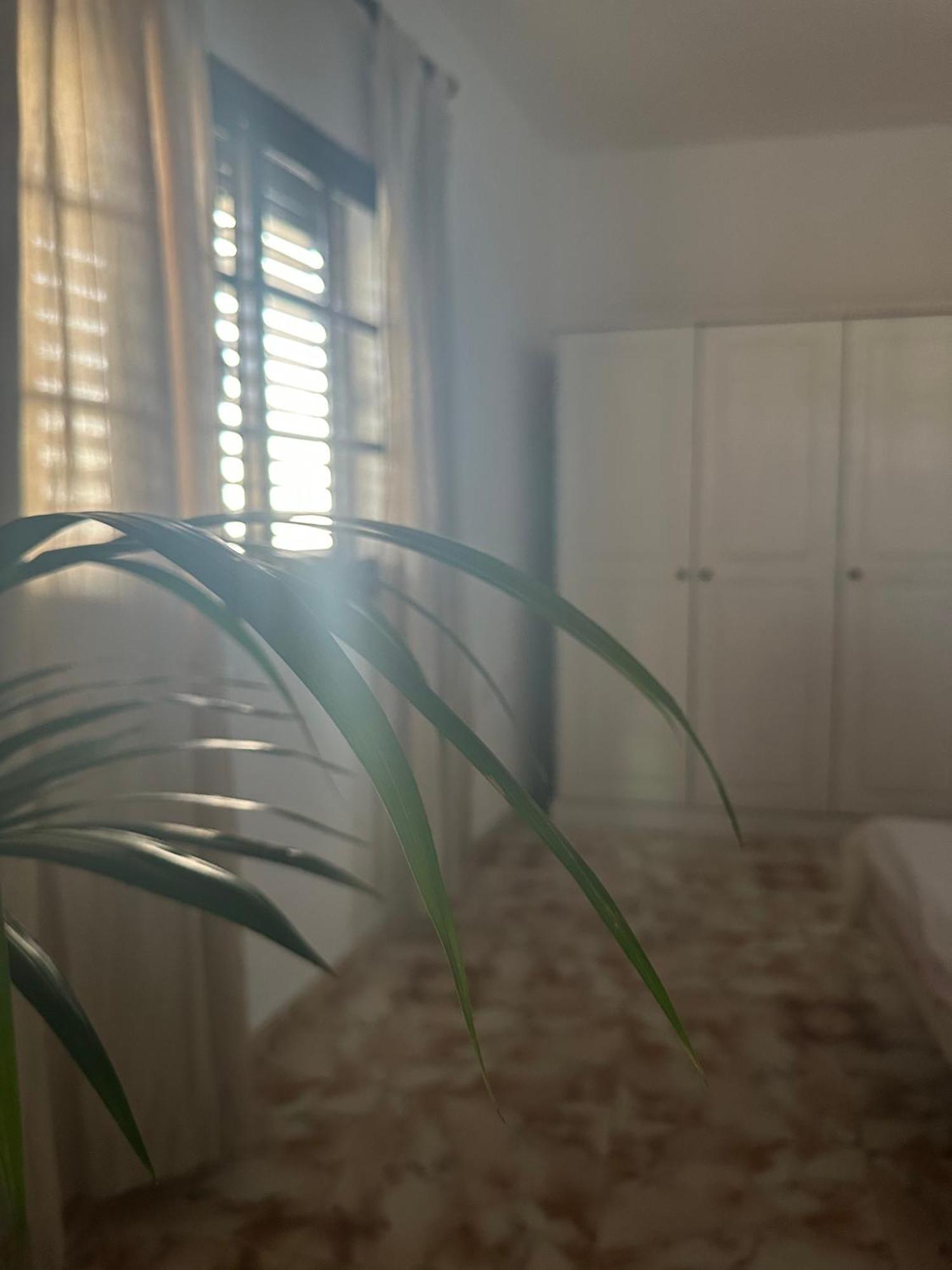Apartamento Fortaleza Vallehermoso Esterno foto
