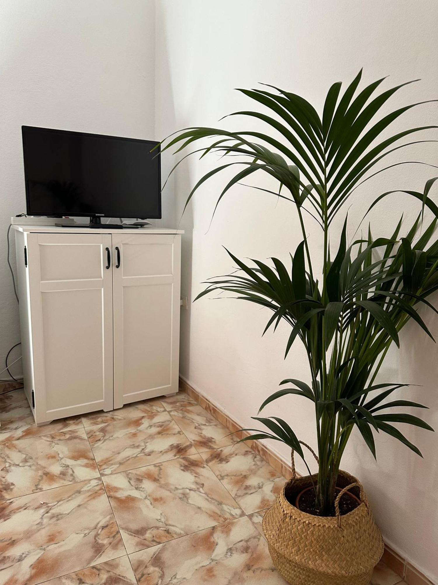 Apartamento Fortaleza Vallehermoso Esterno foto