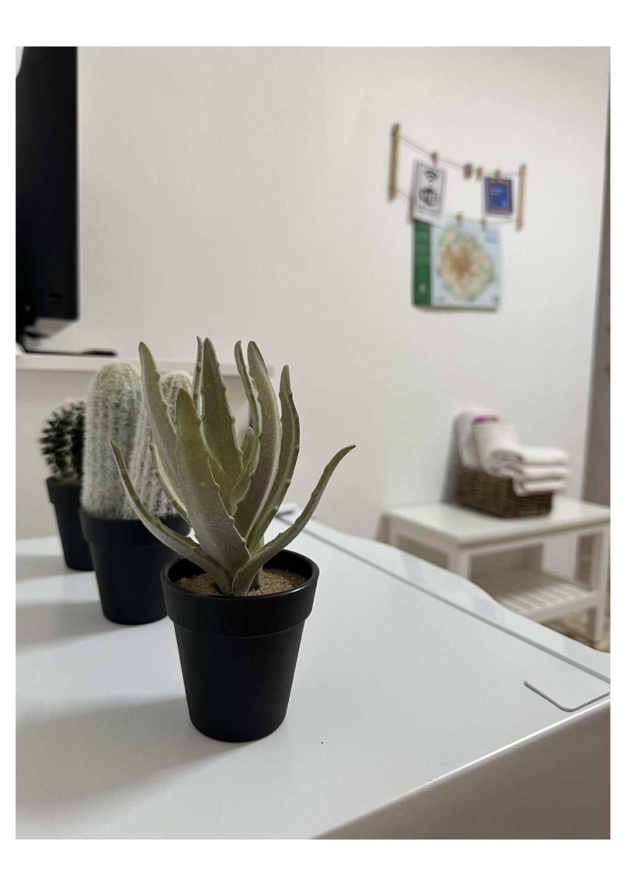 Apartamento Fortaleza Vallehermoso Esterno foto